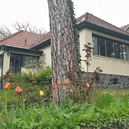 מטרפורד Edit Villa מראה חיצוני תמונה