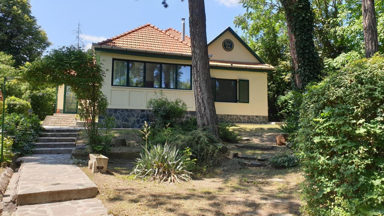 מטרפורד Edit Villa מראה חיצוני תמונה